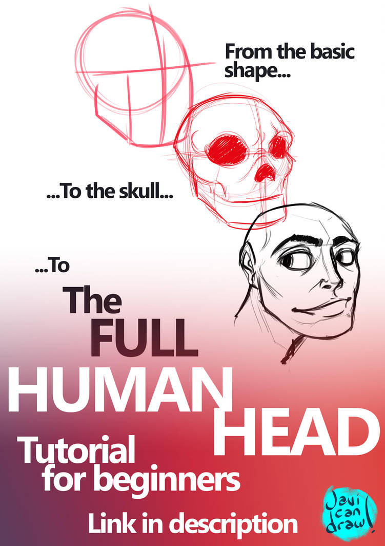Human Head for beginners Video tutorial by javicandraw
