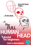 Human Head for beginners Video tutorial by javicandraw