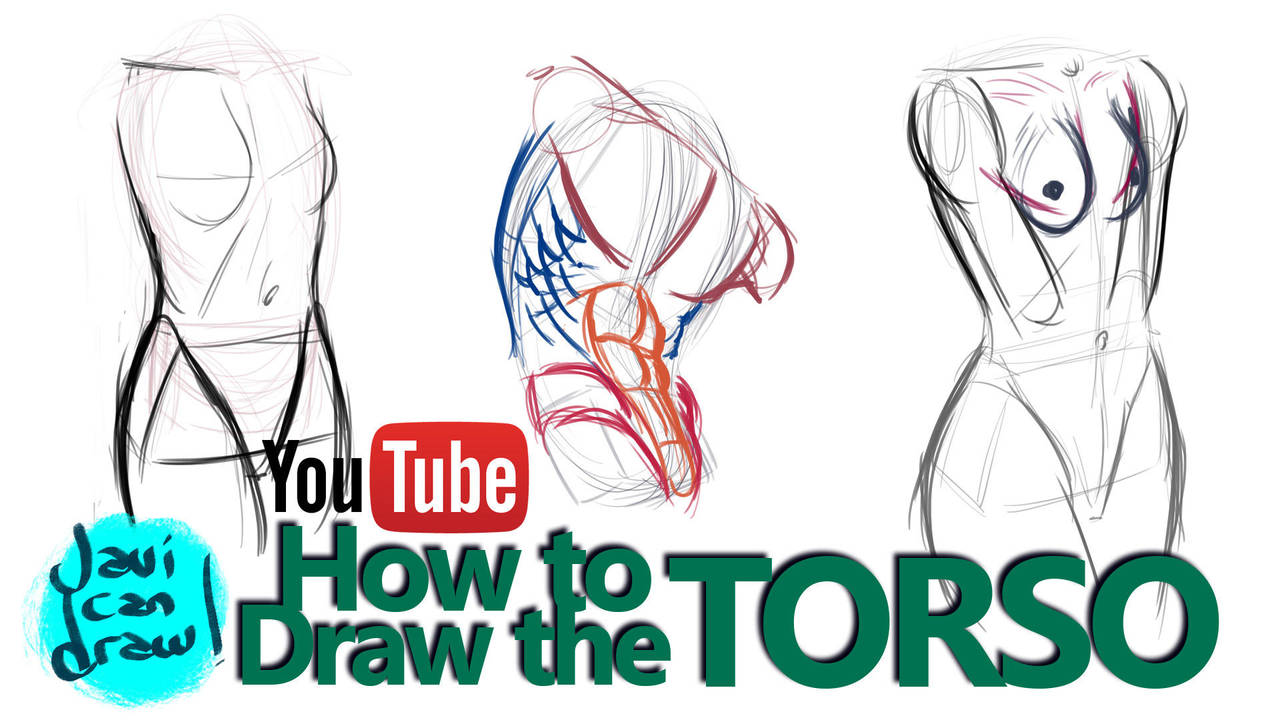 HOW TO DRAW THE MALE AND FEMALE TORSO - A tutorial by javicandraw