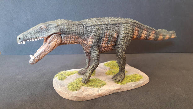 sebecus Explore sebecus on DeviantArt