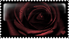 Rose Stamp by sequelle