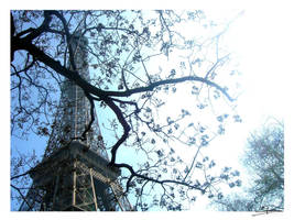 Paris 8 by x-miss-drawings-x