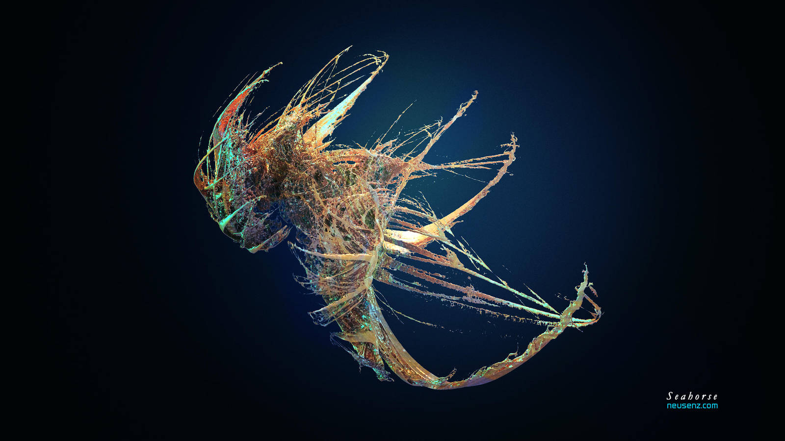 Splash: Seahorse by neutrix
