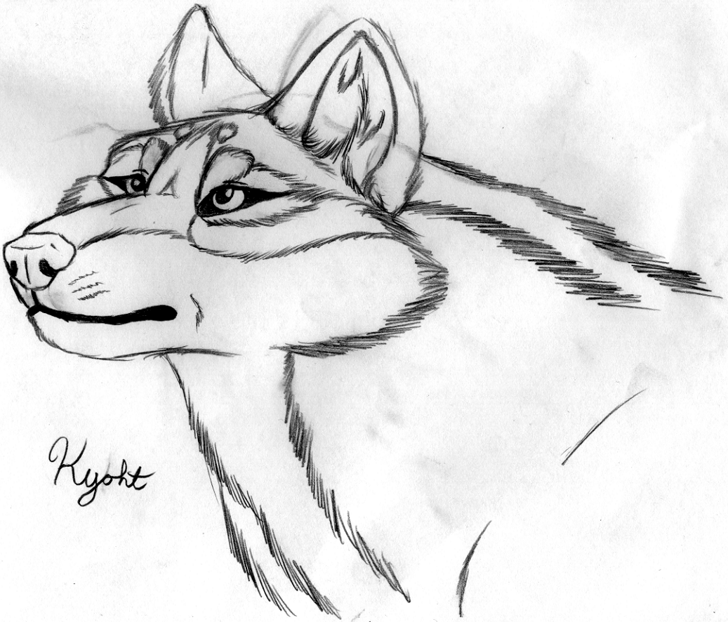 Realistic Kyoht. by Kitty-Lune