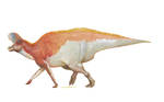 Lambeosaurus magnicristatus by pheaston