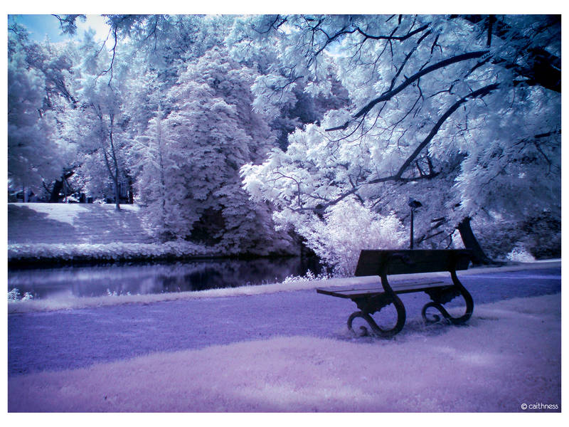 Contemplation IR by caithness155