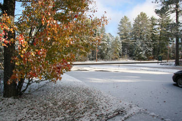 Septembers First Snow in LOL by FireBoar