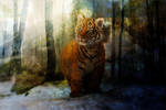 Jewel of the forest by Andaelentari