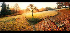 Rebirth IV. by realityDream