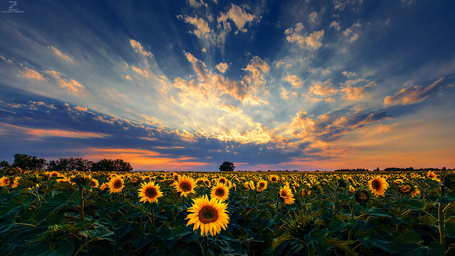 Hungarian skies pt.CXCVIII. by realityDream