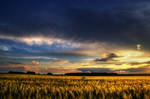 Summer Wheatlands XXI. by realityDream