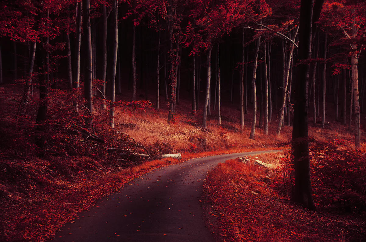 Autumn Journey XXVII. by realityDream
