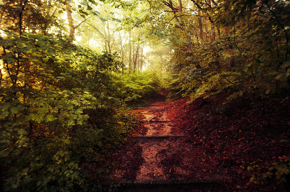 Early Autumn II. by realityDream