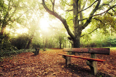 Early Autumn IV. by realityDream