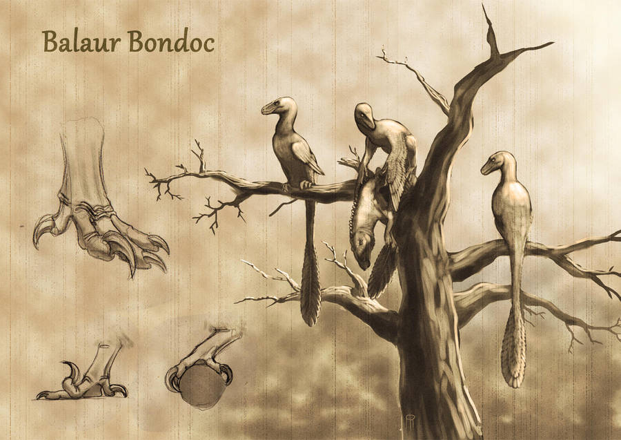 Balaur bondoc arboreal yesterdays by JELSIN