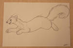 Sketch Commission: Fern the Pine Marten by Avanii