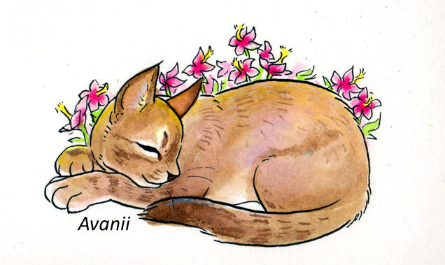 Rest in Peace Little Lady by Avanii