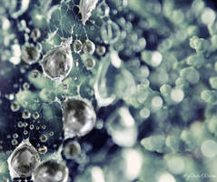 Within Its Web by MyChibiKitsune