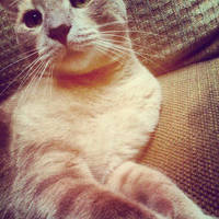 save it for a rainy day by karizzel