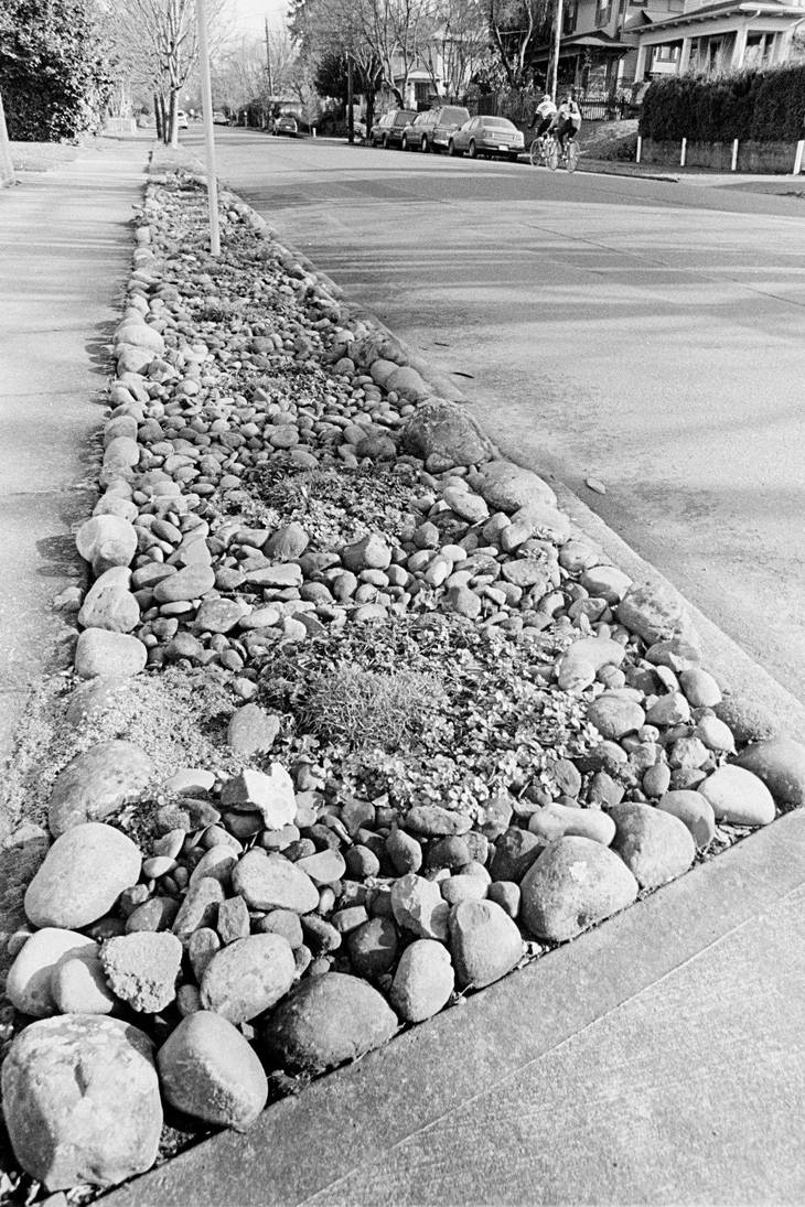 urban rock garden by poofygoof