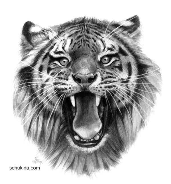 Wicked Tiger G093 by sschukina on DeviantArt