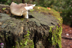 Boiling heat, Summer stench by CaffeineIsMyCocaine