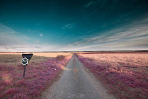 Infrared Path by Simon120188