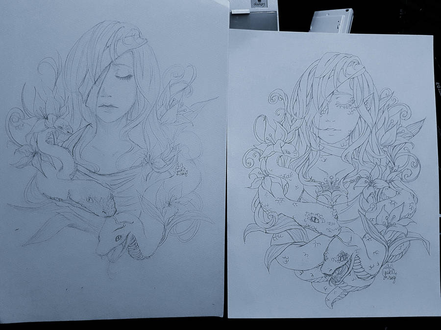 Re-draw by xXYukiNoUsagiXx