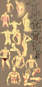 More anatomy tips by moni158