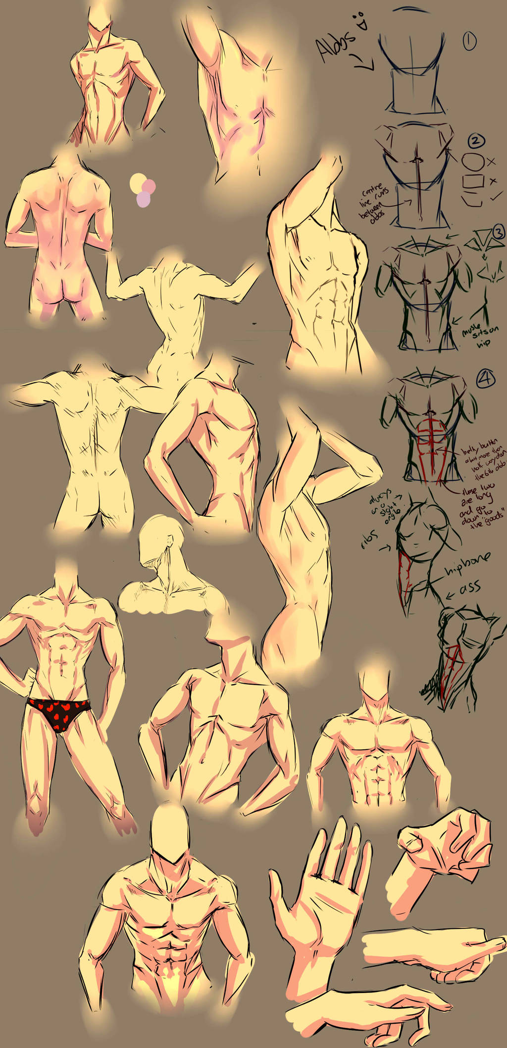 More anatomy tips by moni158