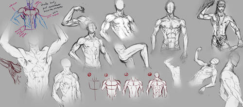 Male Body by moni158