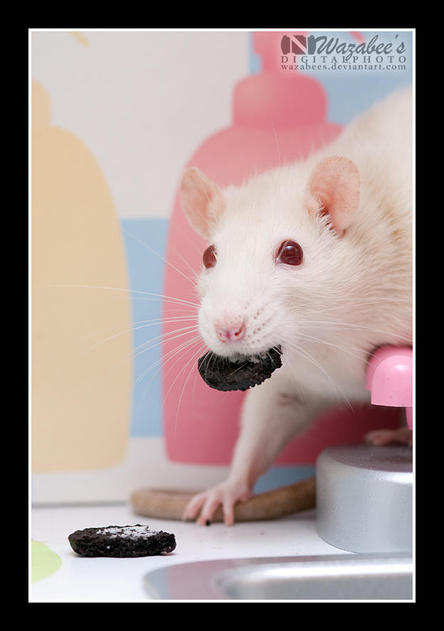 Esme and the Oreo by wazabees