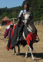 Medieval Knight_3 by Georgina-Gibson on DeviantArt