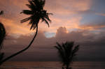 Trinidad by SnookiezInc