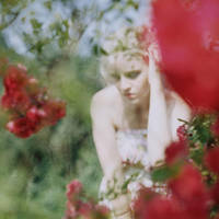 medusykwiat by iuanka