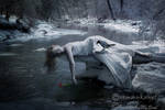 Moonlight's Cold Caress by sammykaye1