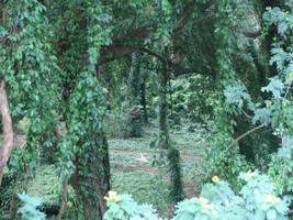 Its A Jungle In There by LunaLives