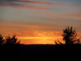 Like Never Before by LunaLives