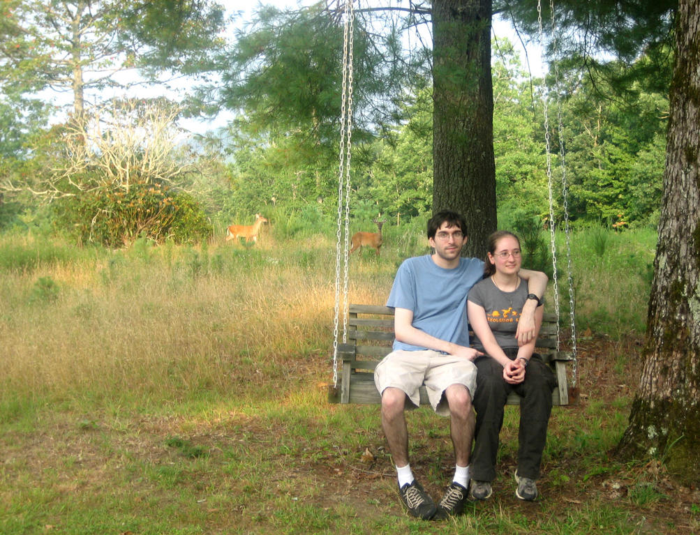On the Swing by Agahnim