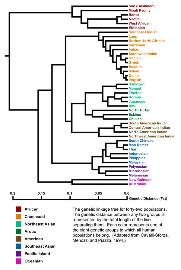 Human genetic variation by Agahnim
