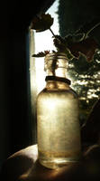 Bottle of Life by Hazelbean