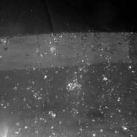 Like a Rose Needs Rain by Hazelbean