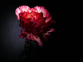 Strawberry Icecream by Hazelbean