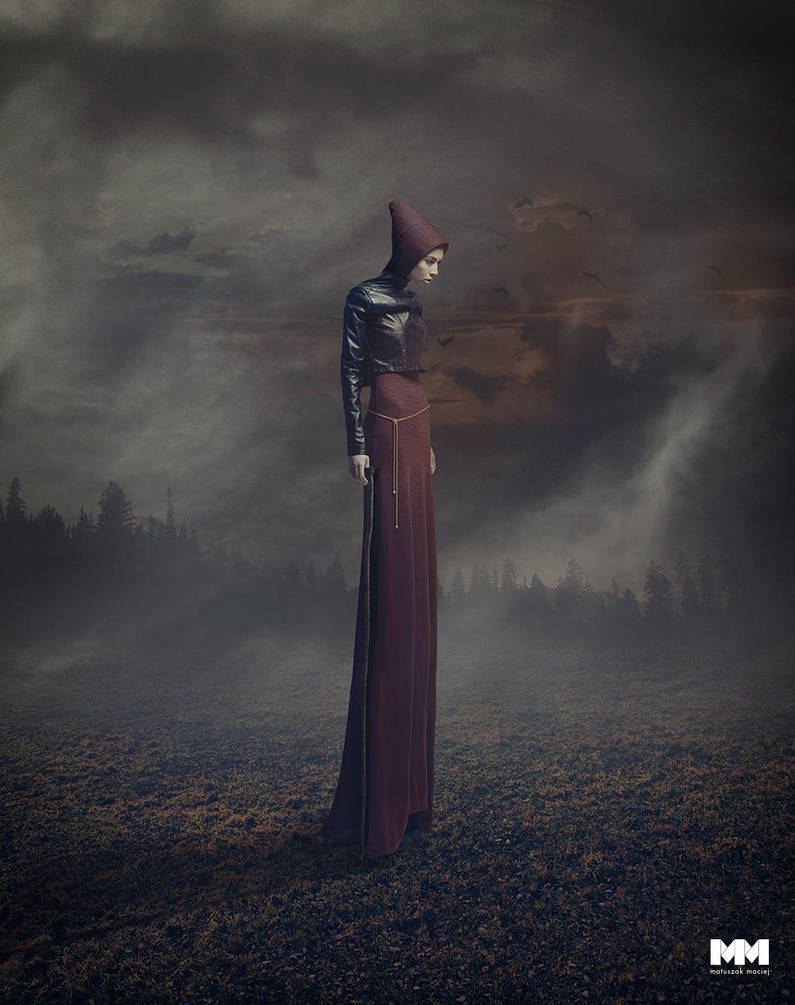 The wanderer by mastadeath
