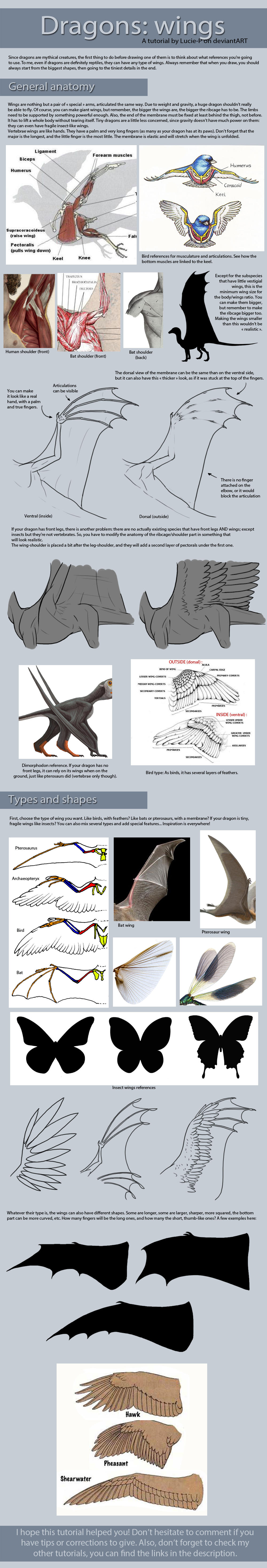 Dragon tutorial: Wings by Lucie-P
