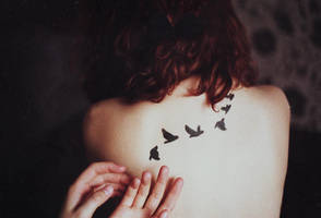 NIGHT BIRDS by laura-makabresku