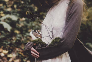Fairy tale about a girl who became a tree.. by laura-makabresku