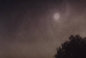 Good Night by laura-makabresku