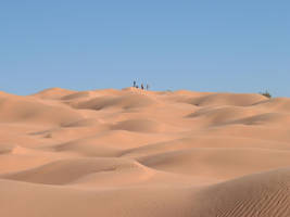 Desert 5 by B-SquaredStock