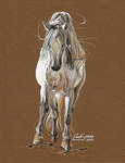 Zingaro... by Artsy50